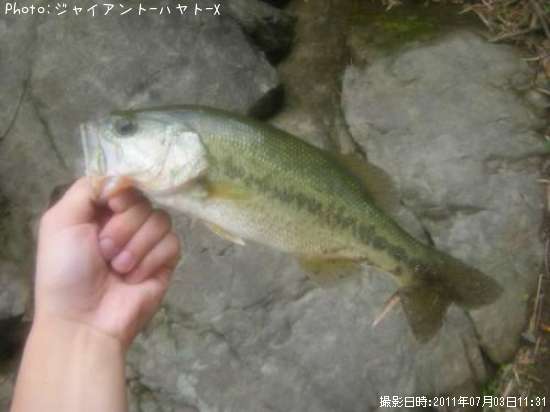 �֥�å��Х�