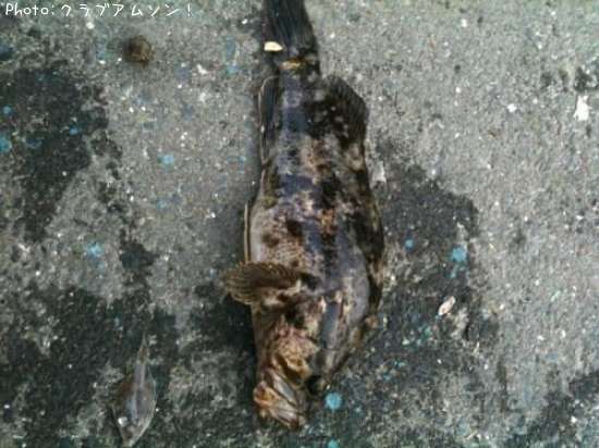 �����Υ���Х�