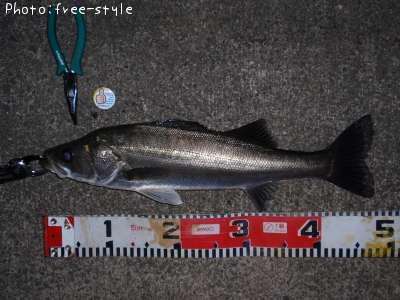 �����Х�