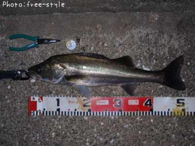 �����Х�