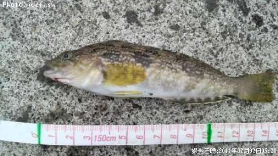 �����ʥ�