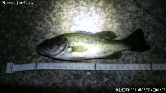 �֥�å��Х�