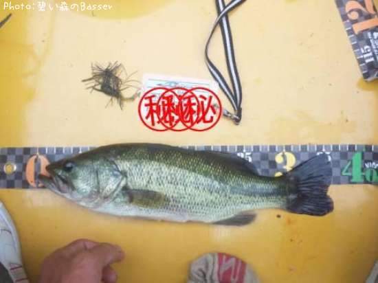 �֥�å��Х�