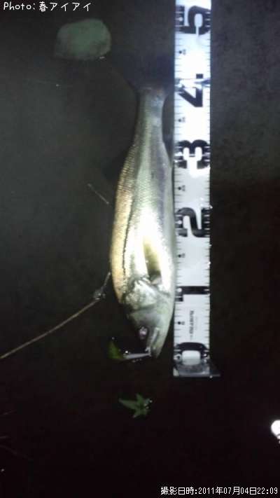 �����Х�