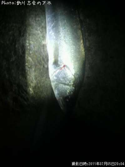 �����Х�