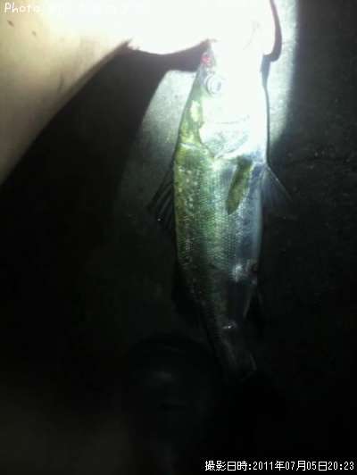 �����Х�