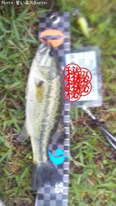 �֥�å��Х�