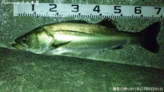 �����Х�