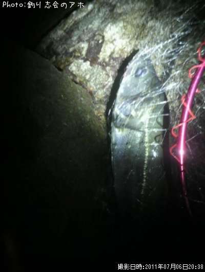 �����Х�