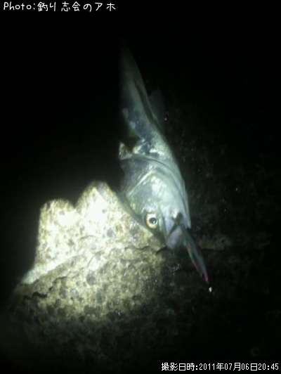 �����Х�