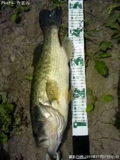 �����ޥ�Ǥ̳��λ