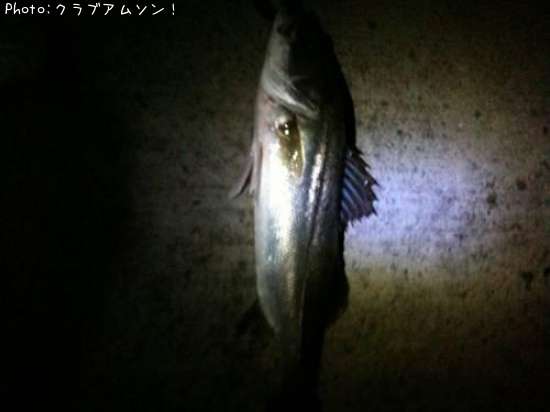 �����Х�