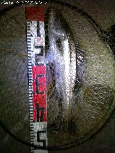 �����Х�