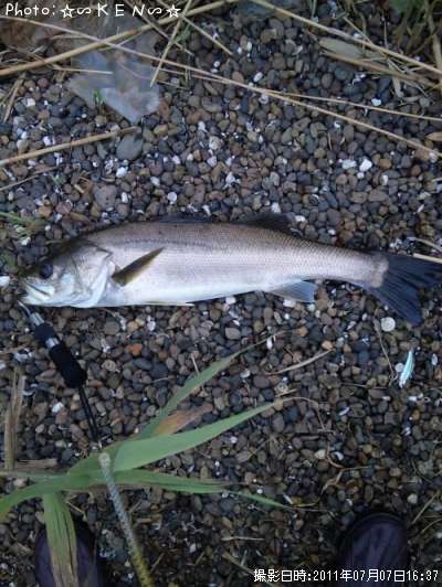 �����Х�