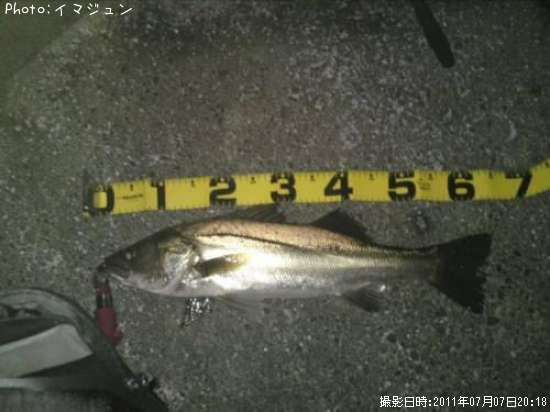 �����Х�