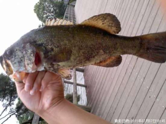 �֥�å��Х�