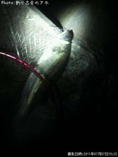 �����Х�