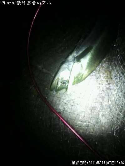 �����Х�