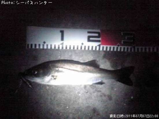 �����Х�