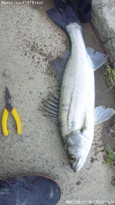 �����Х�