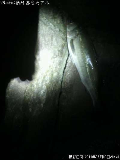 �����Х�