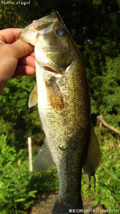 �֥�å��Х�