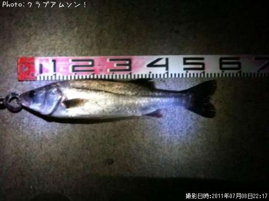 �����Х�