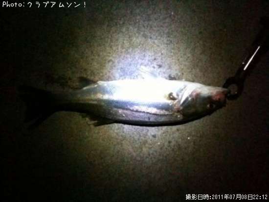 �����Х�