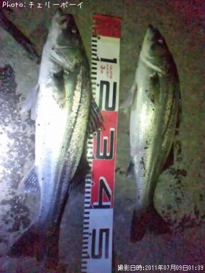 �����Х�