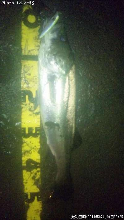 �����Х�