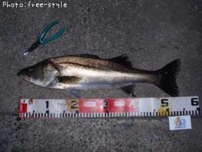 �����Х�