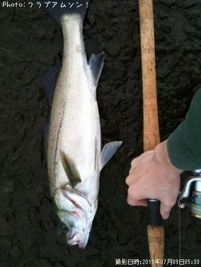 �����Х�