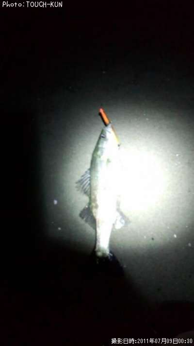 �����Х�