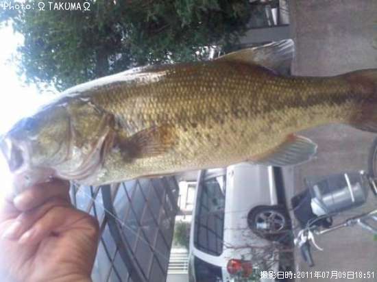 �֥�å��Х�