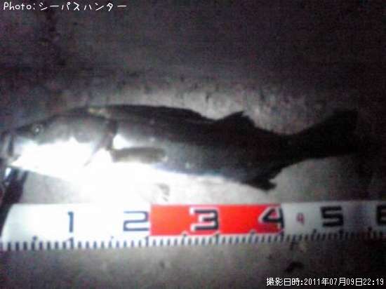 �����Х�