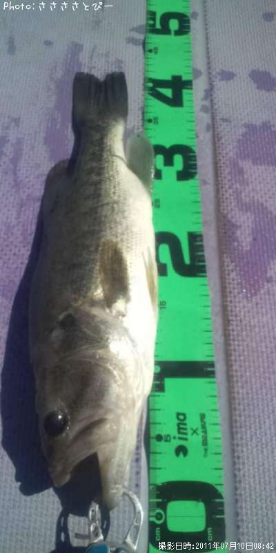 �֥�å��Х�