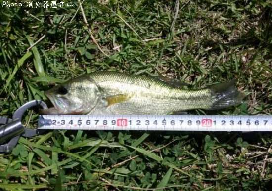 �֥�å��Х�