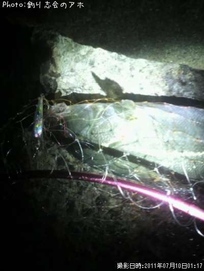 �����Х�