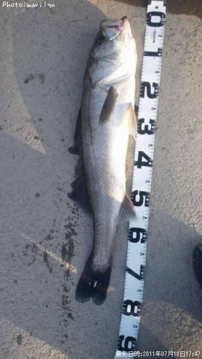 �����Х�