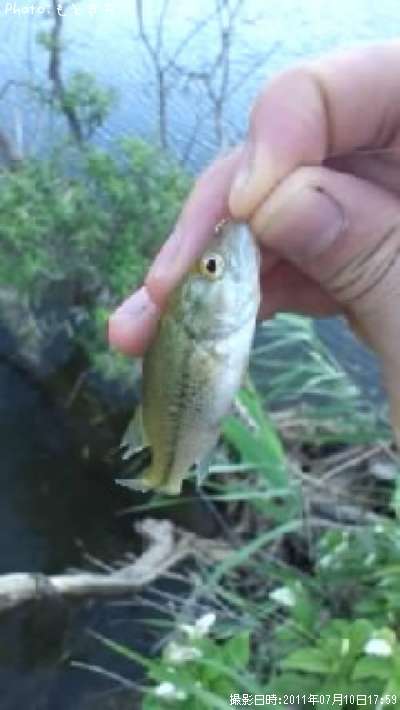 �֥�å��Х�