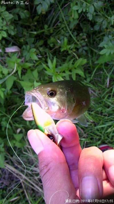 �֥�å��Х�