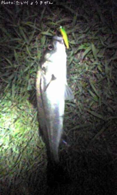 �����Х�