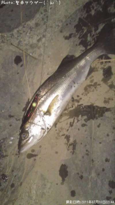 �����Х�