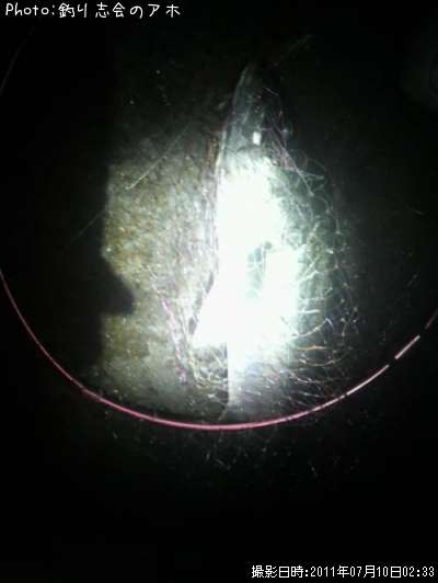 �����Х�