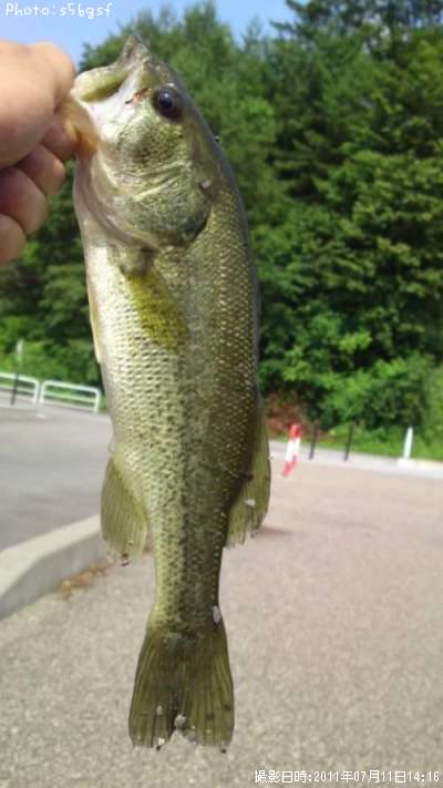 �֥�å��Х�