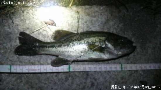 �֥�å��Х�