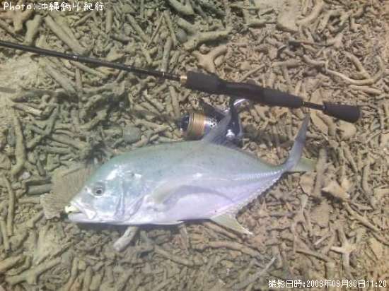 ���˥ҥ饢��