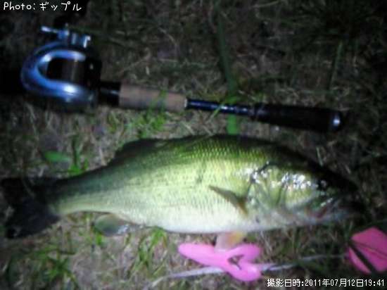 �֥�å��Х�