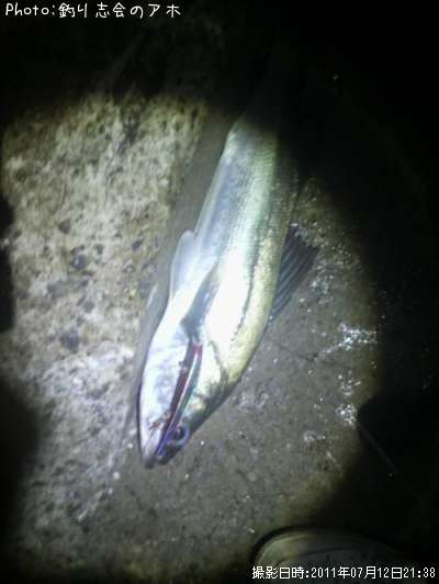 �����Х�