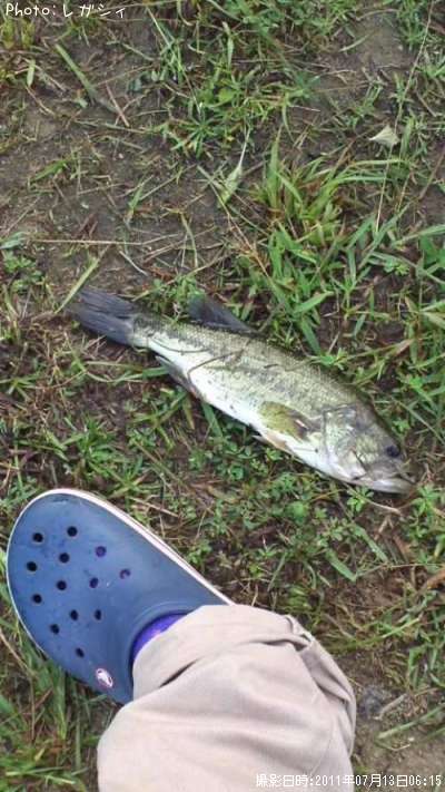 �֥�å��Х�